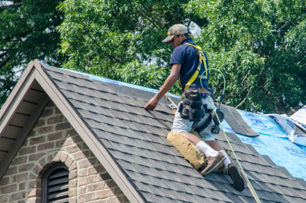 Best Gutter Installation and Roofing  in Eastpointe, MI